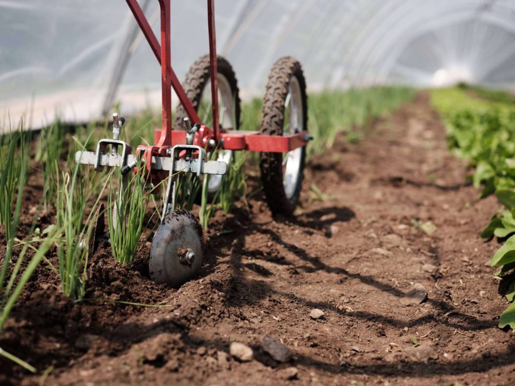 Houe maraîchère double roue outils pour petite ferme