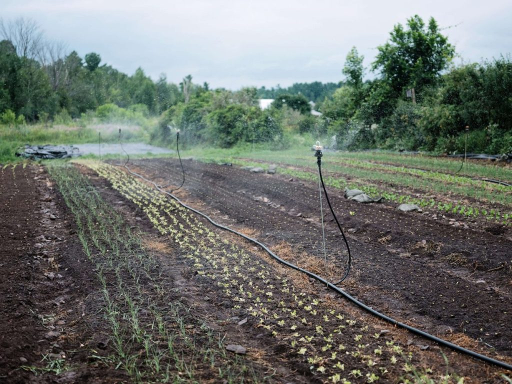 Système d’irrigation pour petite ferme