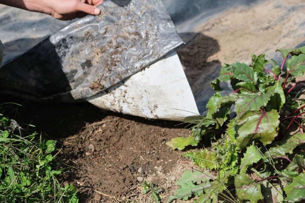 Bâche d’occultation équipement agricole