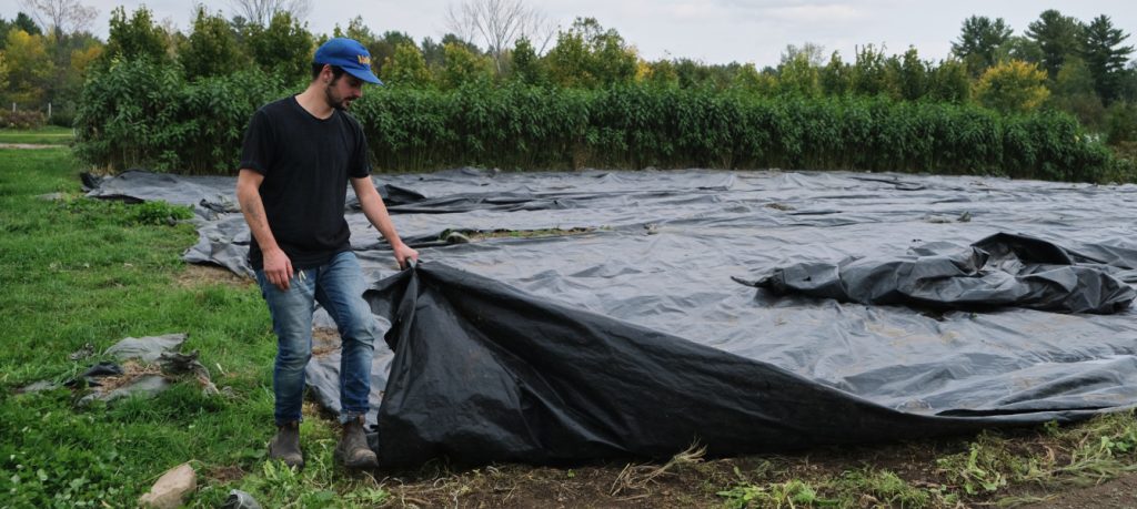 Fermier en train d'installer des bâches d'ensilage