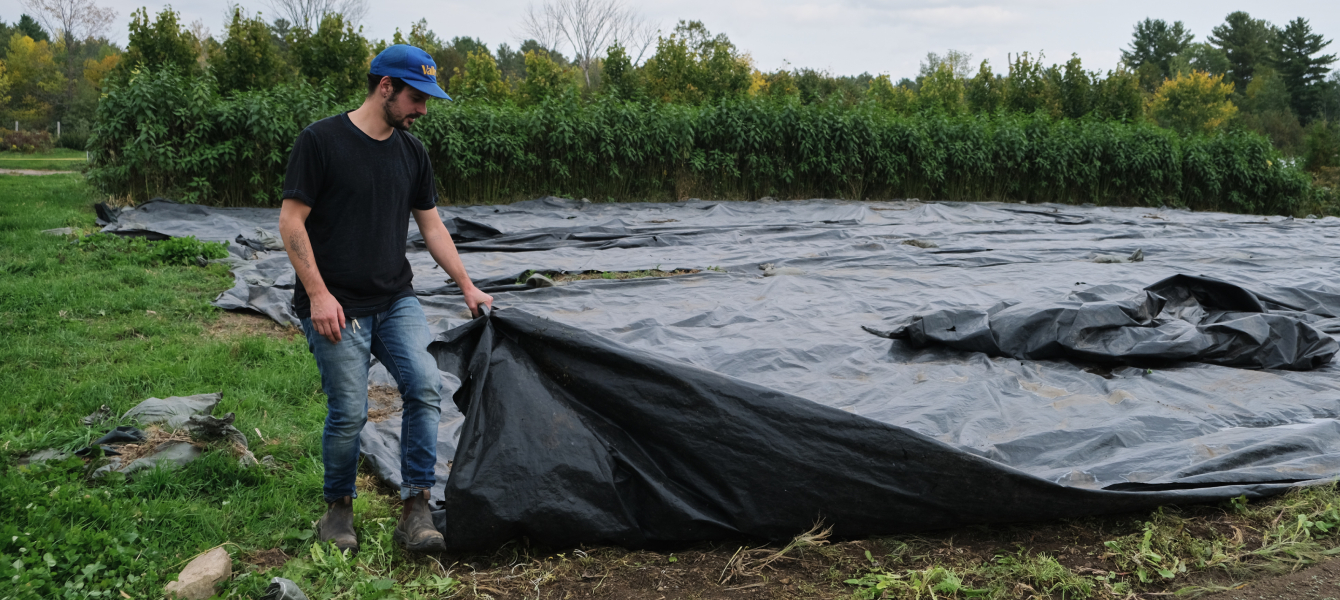 Comment utiliser les bâches d'ensilage sur une ferme bio-intensive - Le  jardinier-maraîcher