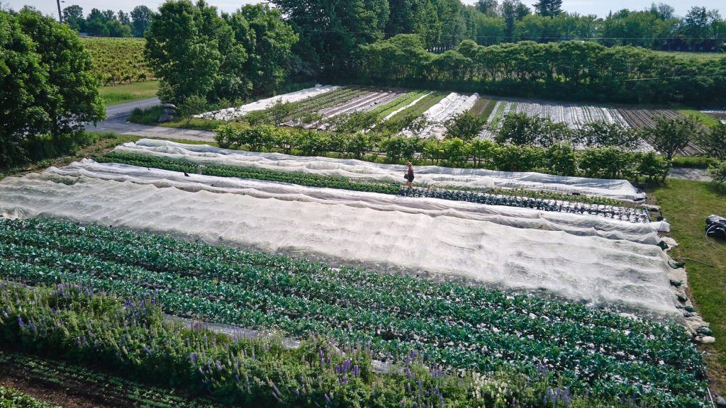 Comment opérer une ferme rentable