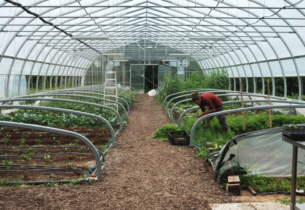 Le rôle de la serre dans le jardin-maraîcher