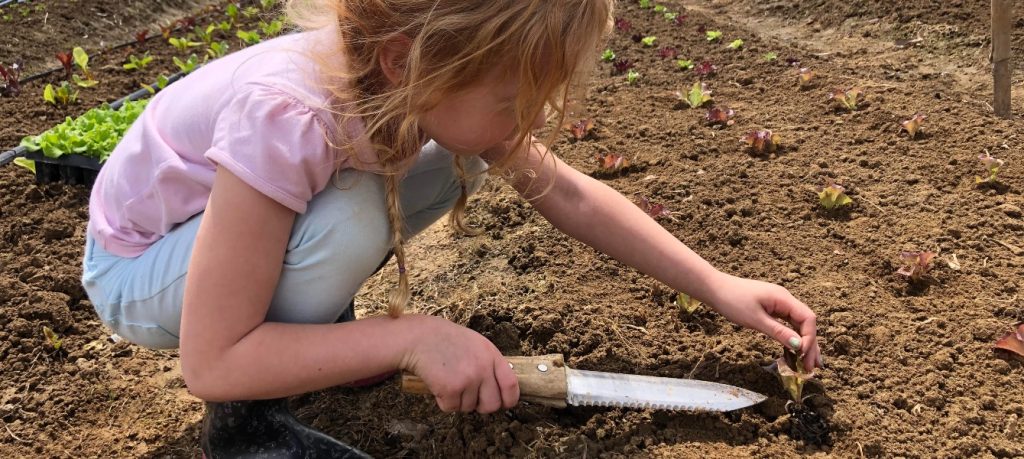 Élevé un enfant sur une ferme. /Crédit : Ferme Rains and Sun