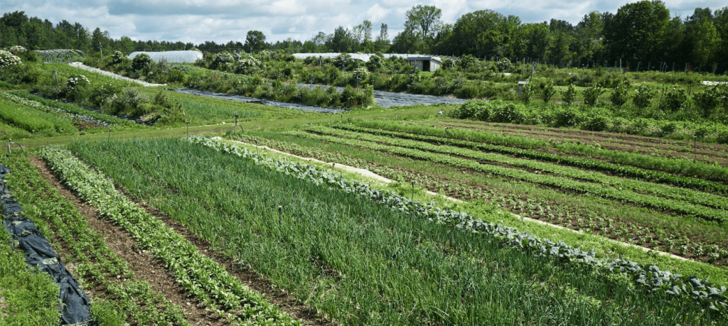 comment ouvrir ses jardins