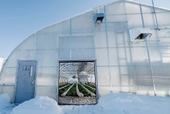 Introduction to Winter Growing Principles