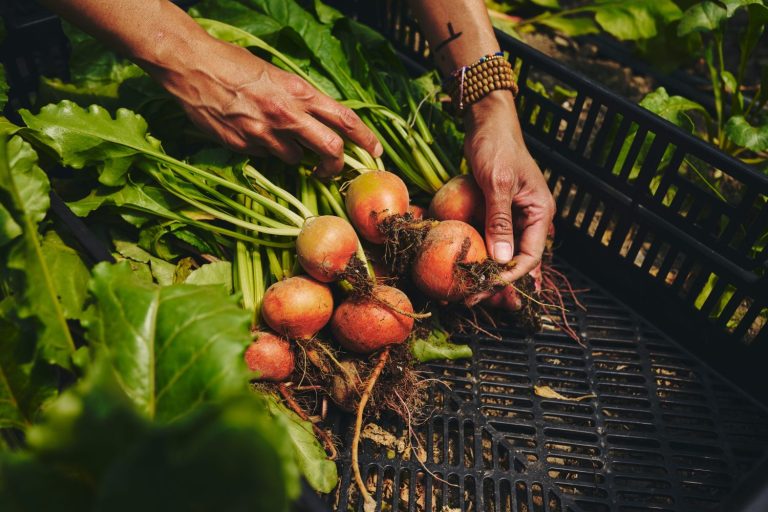 jm fortier - market gardener institute