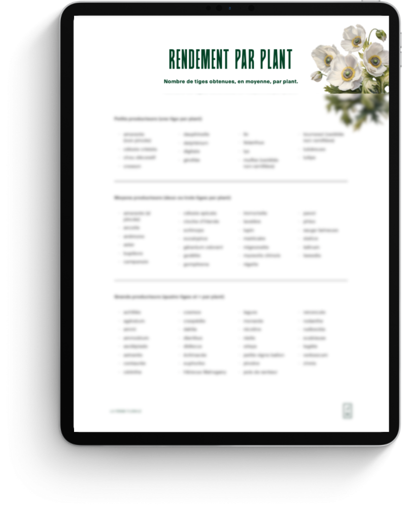 Rendement par plant fleurs