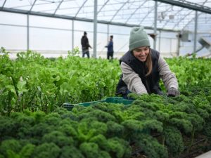 Season extension winter farming strategies course
