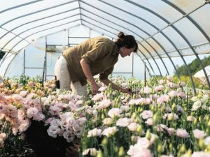 Flower farm course online