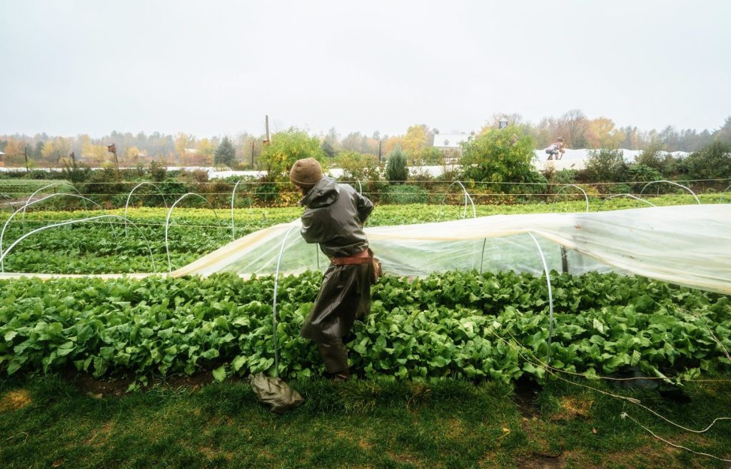 season extension and winter farming