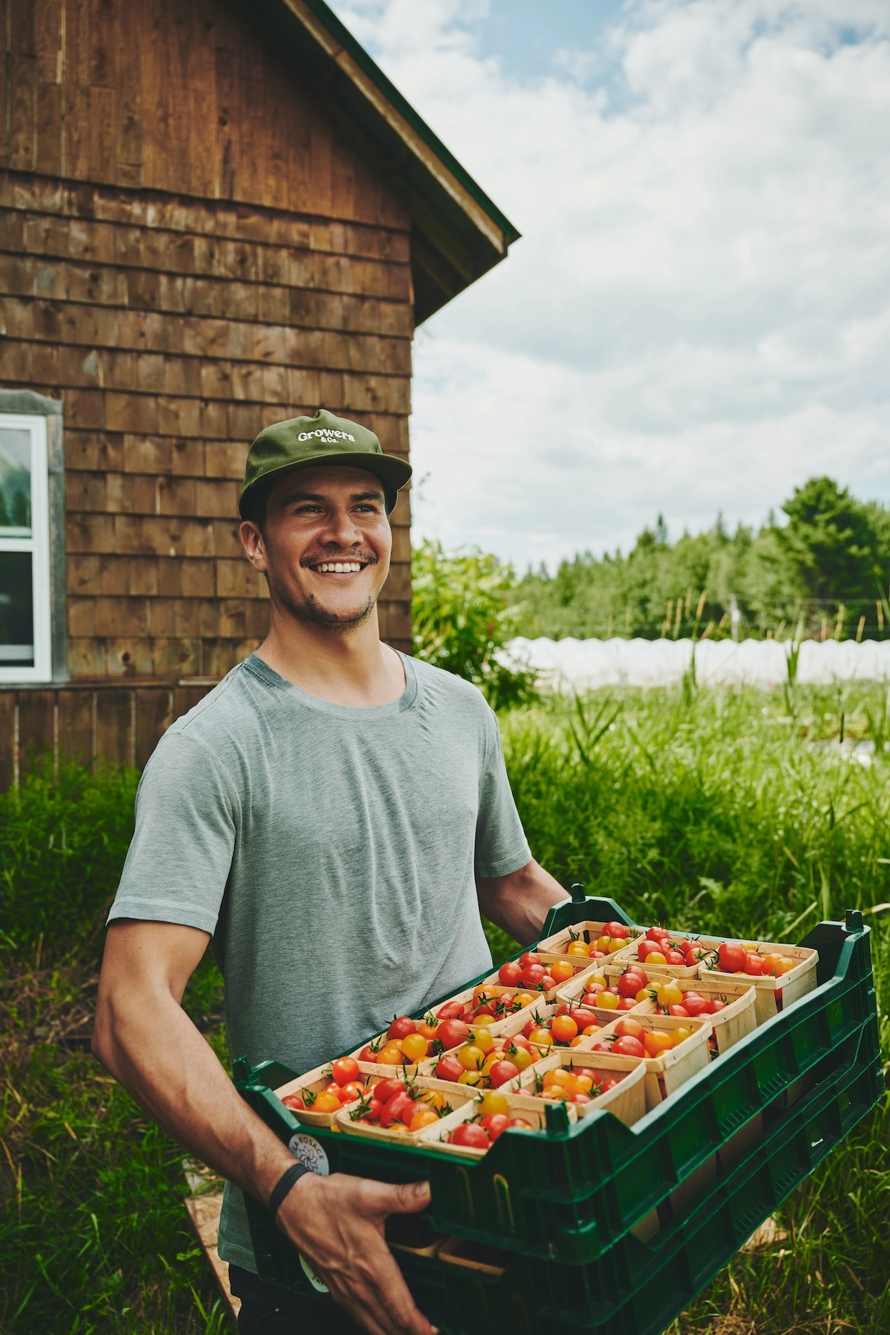 A man holding crates of tomatoes