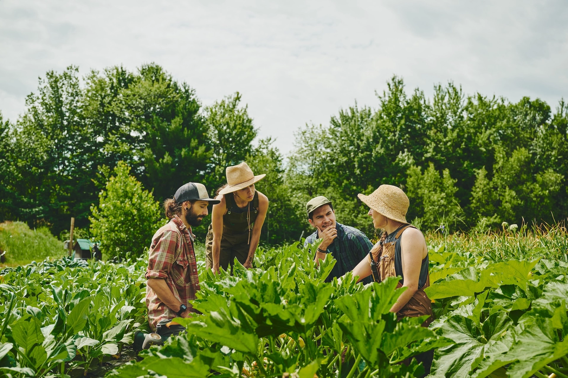 small-farms-big-questions