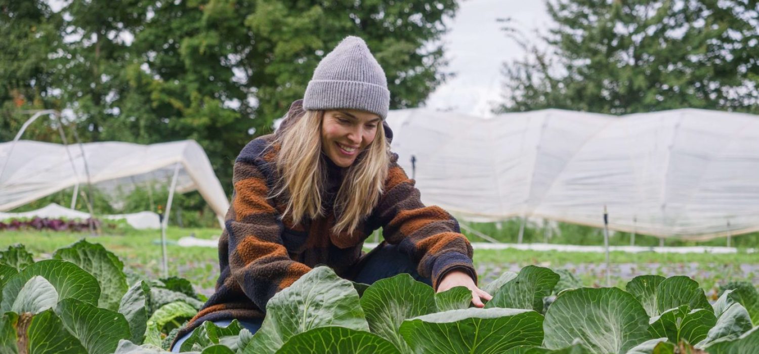 Market Gardening _ Farming Courses for Beginners