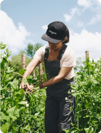 farming-course-masterclass-market-gardener-institute.png farming-course-masterclass-market-gardener-institute.png