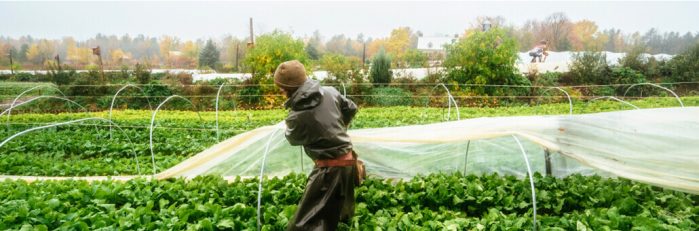 online-img online farming courses